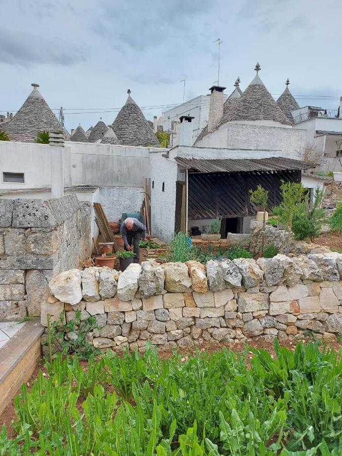Willa Il Trullo Di Giada E Mattia Alberobello Zewnętrze zdjęcie