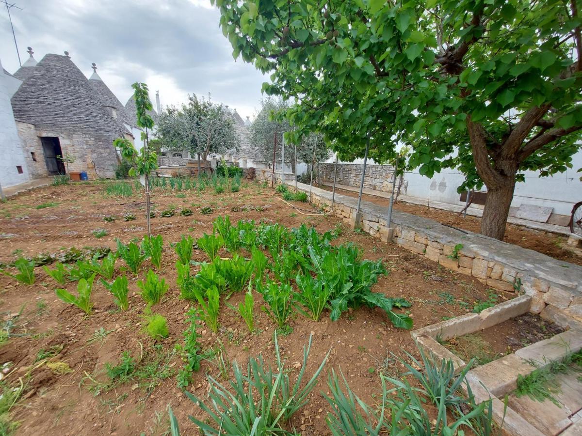 Willa Il Trullo Di Giada E Mattia Alberobello Zewnętrze zdjęcie