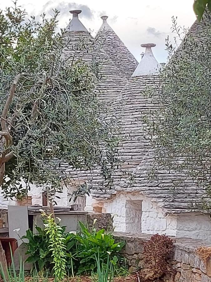 Willa Il Trullo Di Giada E Mattia Alberobello Zewnętrze zdjęcie