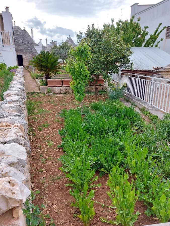 Willa Il Trullo Di Giada E Mattia Alberobello Zewnętrze zdjęcie