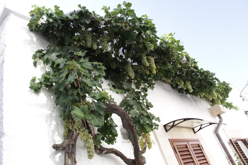 Willa Il Trullo Di Giada E Mattia Alberobello Zewnętrze zdjęcie