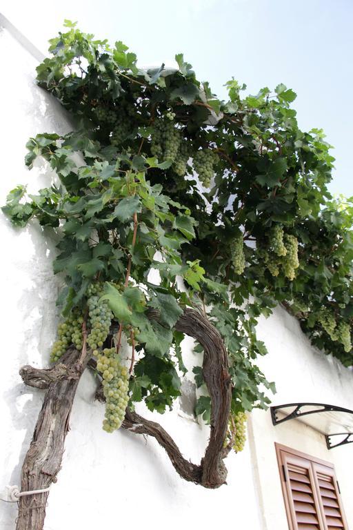 Willa Il Trullo Di Giada E Mattia Alberobello Zewnętrze zdjęcie