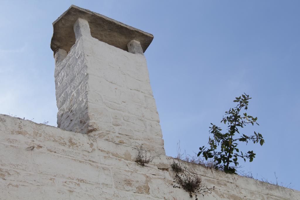 Willa Il Trullo Di Giada E Mattia Alberobello Zewnętrze zdjęcie