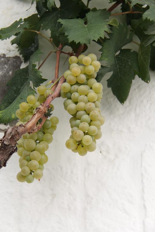 Willa Il Trullo Di Giada E Mattia Alberobello Zewnętrze zdjęcie